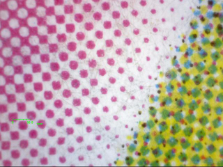 印刷物（白色LED）の観察例