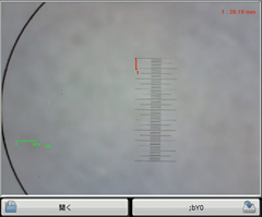 標準スケール画像